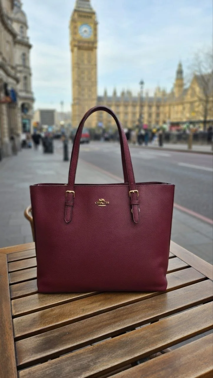 Coach Mollie Tote