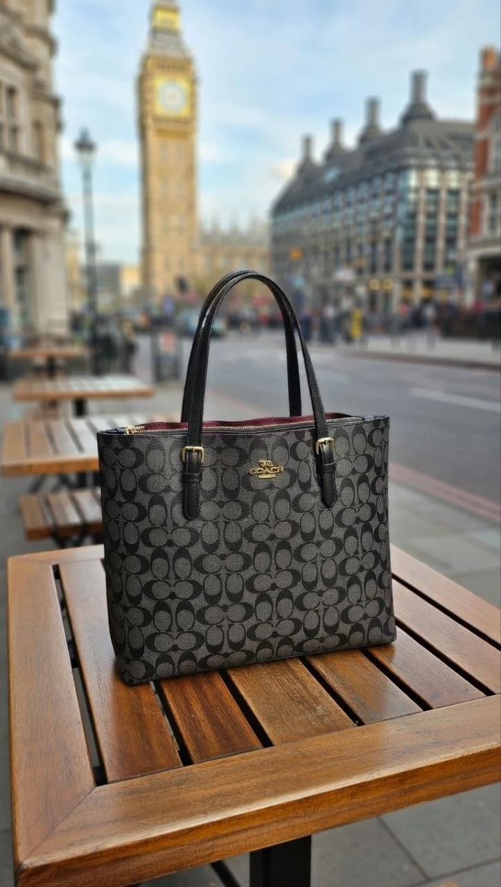 Coach Mollie Tote