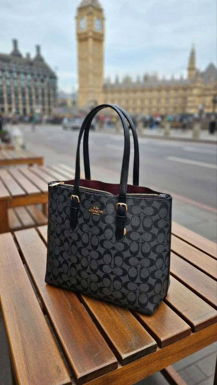 Coach Mollie Tote