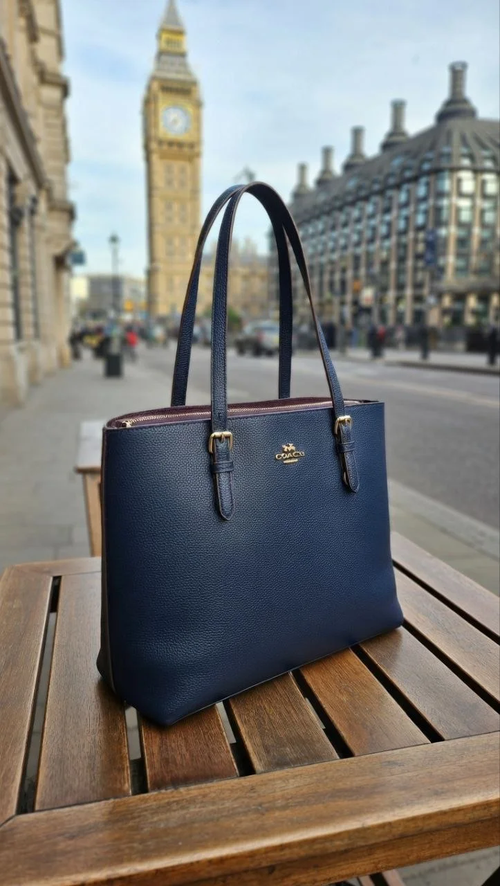Coach Mollie Tote