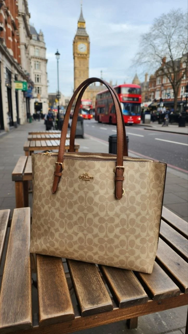Coach Mollie Tote