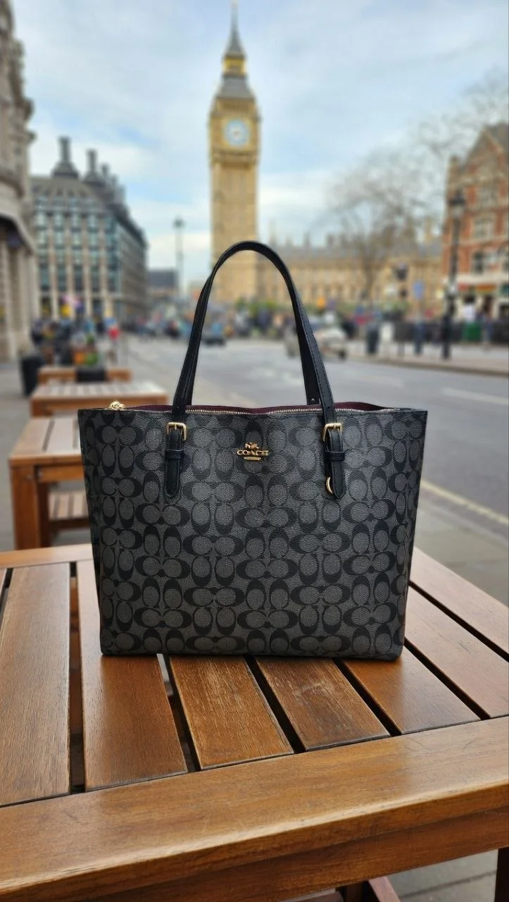 Coach Mollie Tote