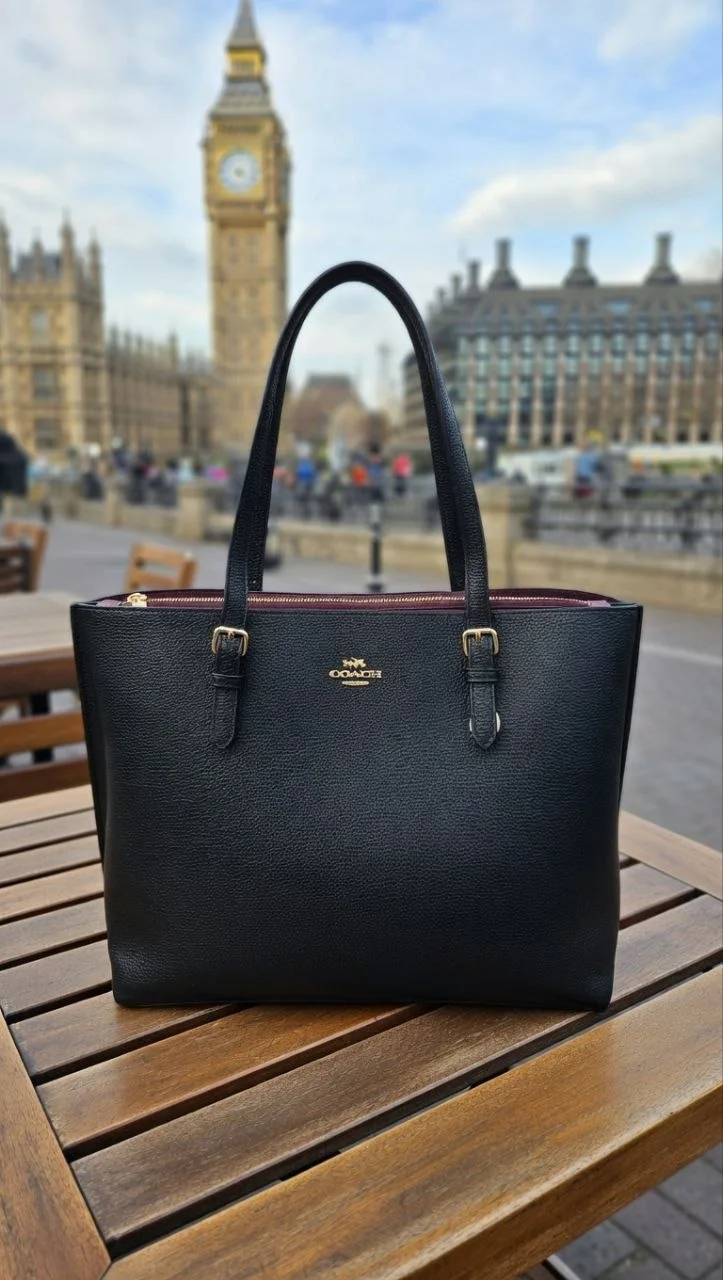 Coach Mollie Tote