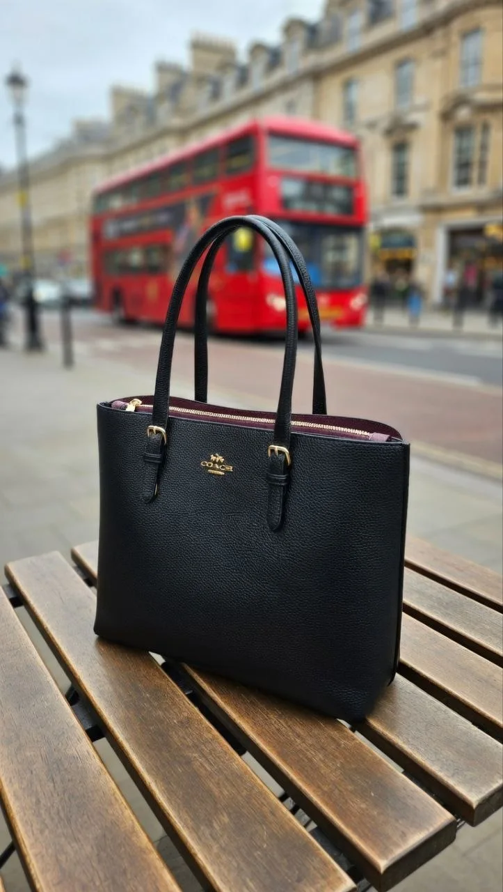 Coach Mollie Tote