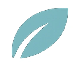 leen-arabia.online favicon