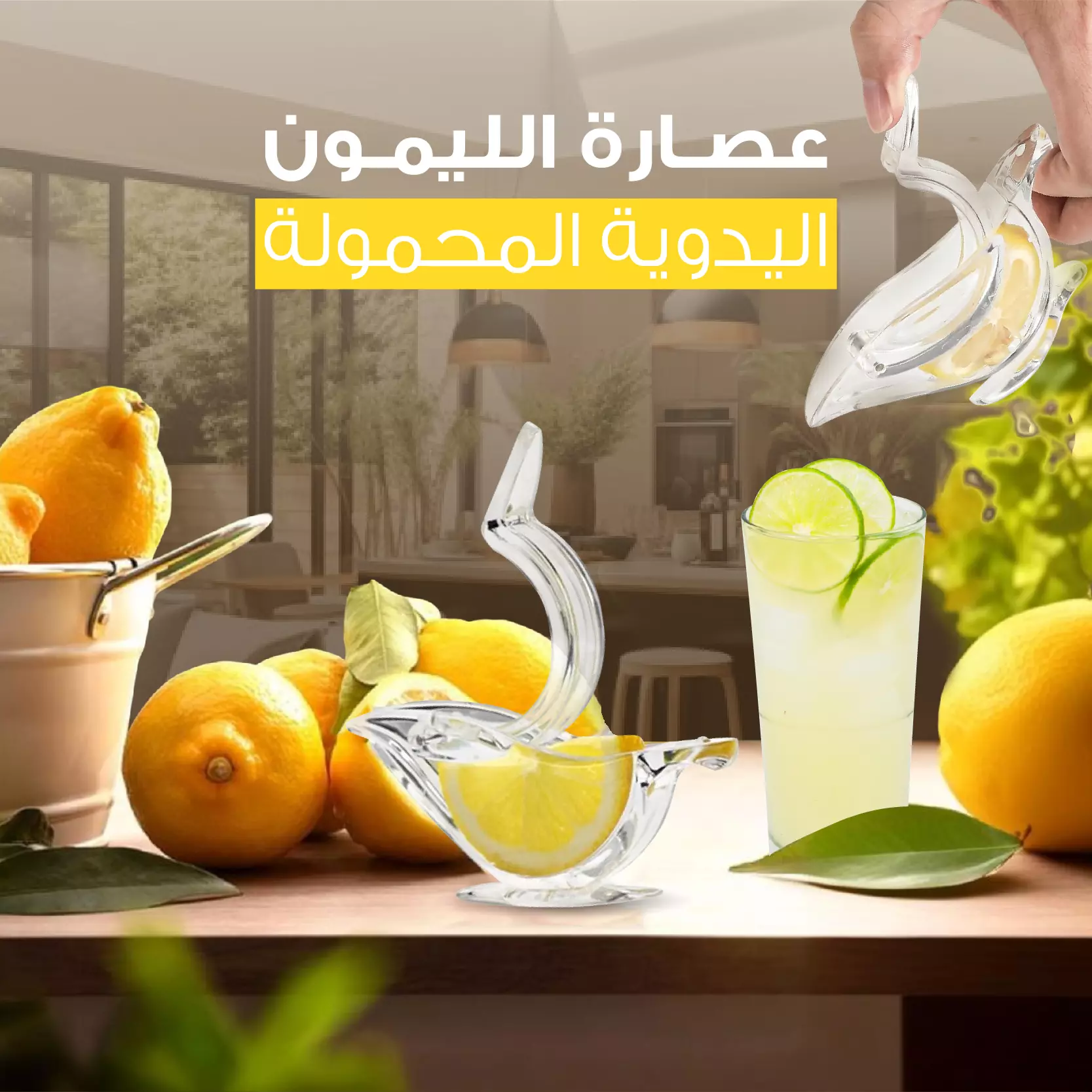 Manual Lemon Squeezer