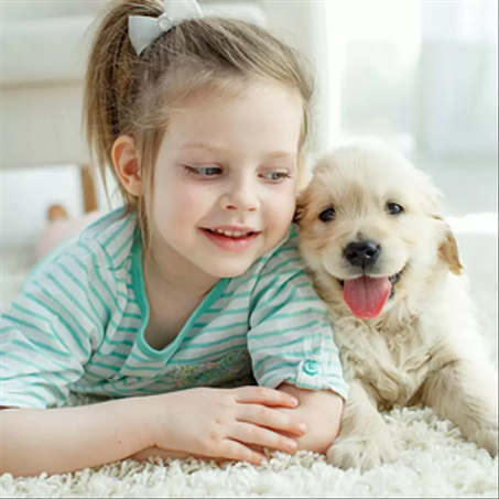 مستلزمات الأليفة