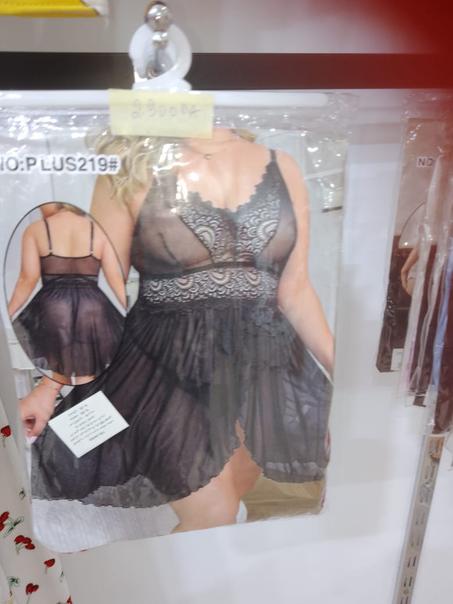 NUISETTE   IMPORTATION