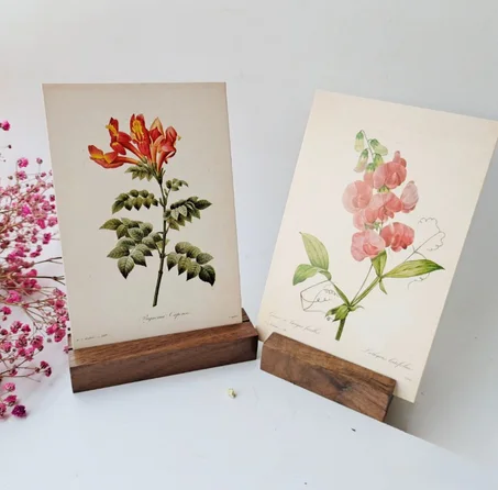 PORTE PHOTO (6 PCs)