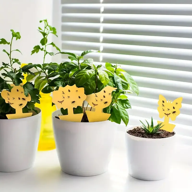 Anti-Moucherons BOSS TAPE Plantes (4pcs) – Pièges Engluées 20cm