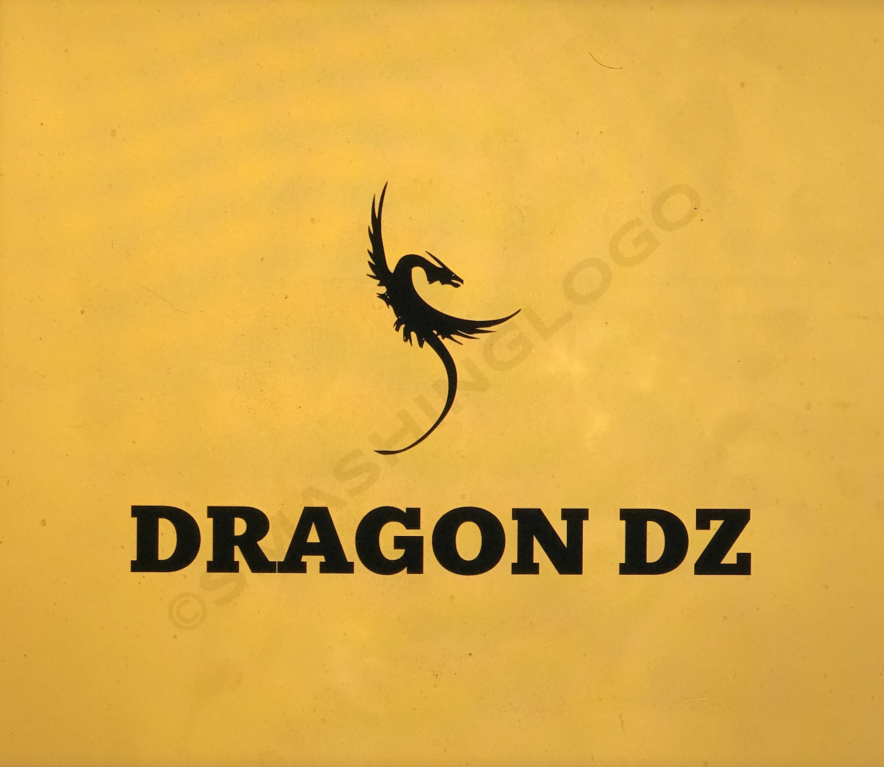 DRAGON-DZ