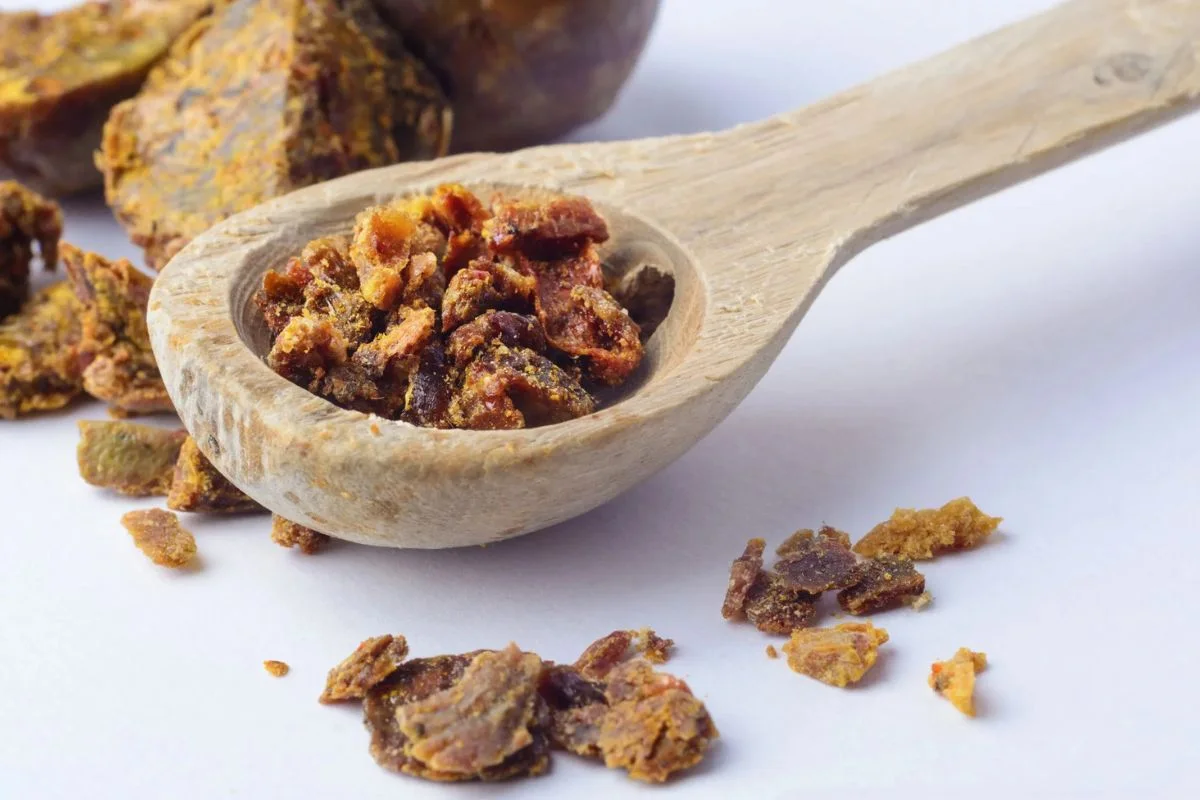 اكتشف أفضل طرق استخدام البروبوليس وأسراره الطبيعية لتعزيز صحتك