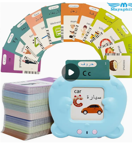 بطاقة الفلاش لناطقة