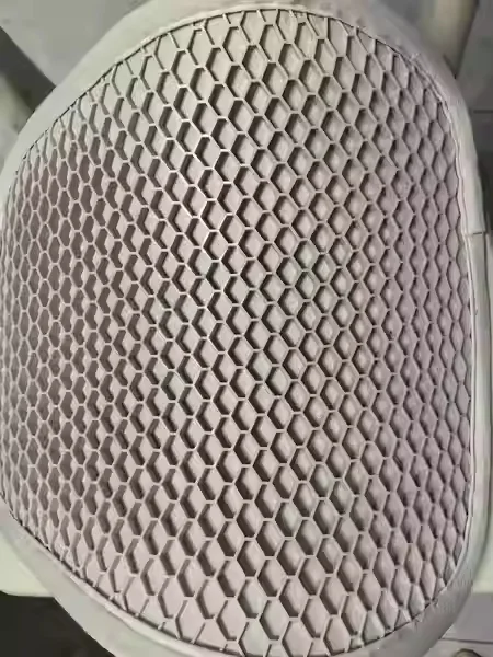 دعم ظهر السائق القطني