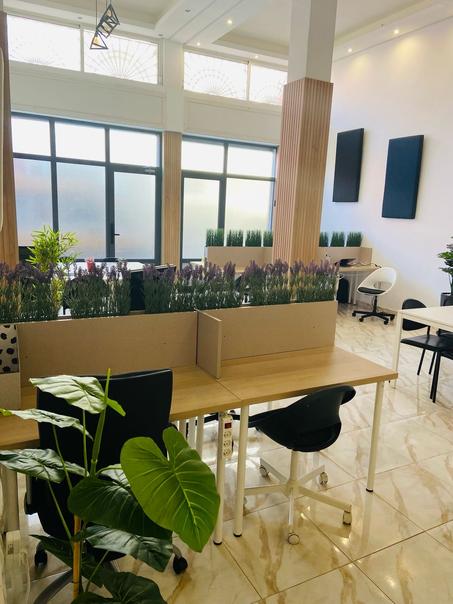 Forfait illimité pro