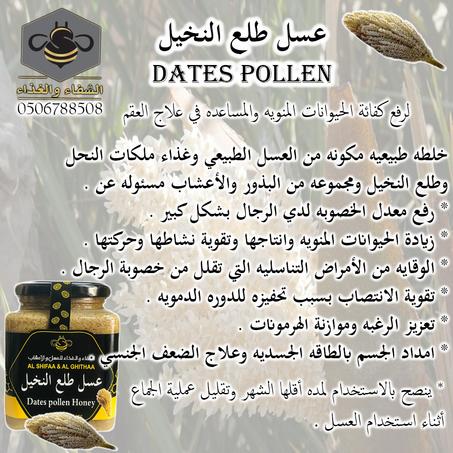 عسل طلع النخيل