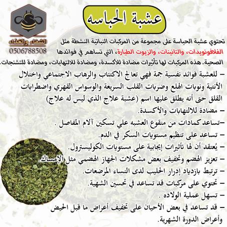 عشبة الحباسه