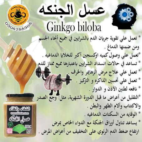 عسل الجنكه ( Ginkgo honey )
