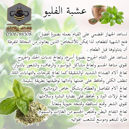 عشبة الفليو