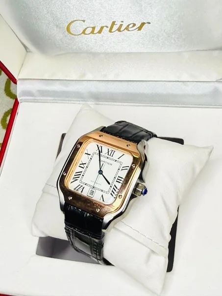 Cartier santos