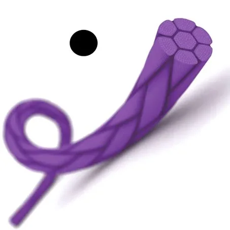 Fils Résorbables