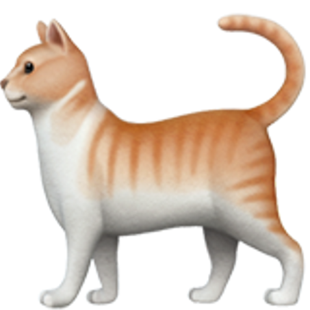 Mascotas y Accesorios 🐶🐱