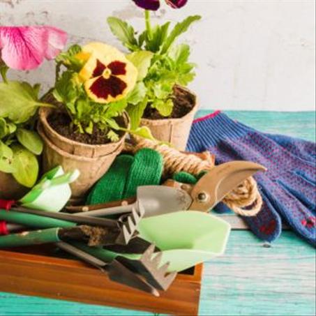 المنزل والحديقة