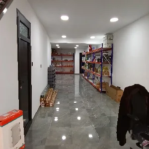 sapi