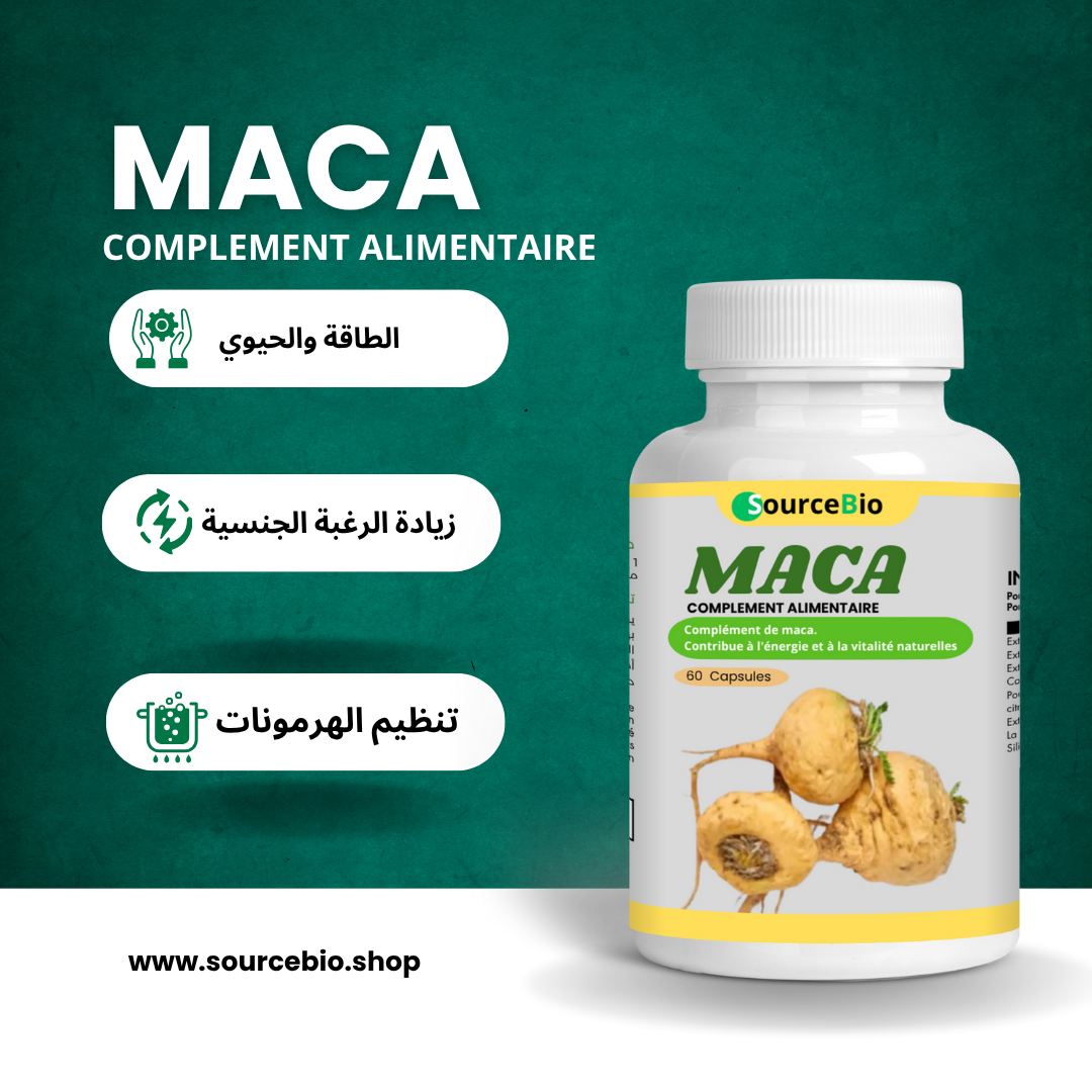 MACA