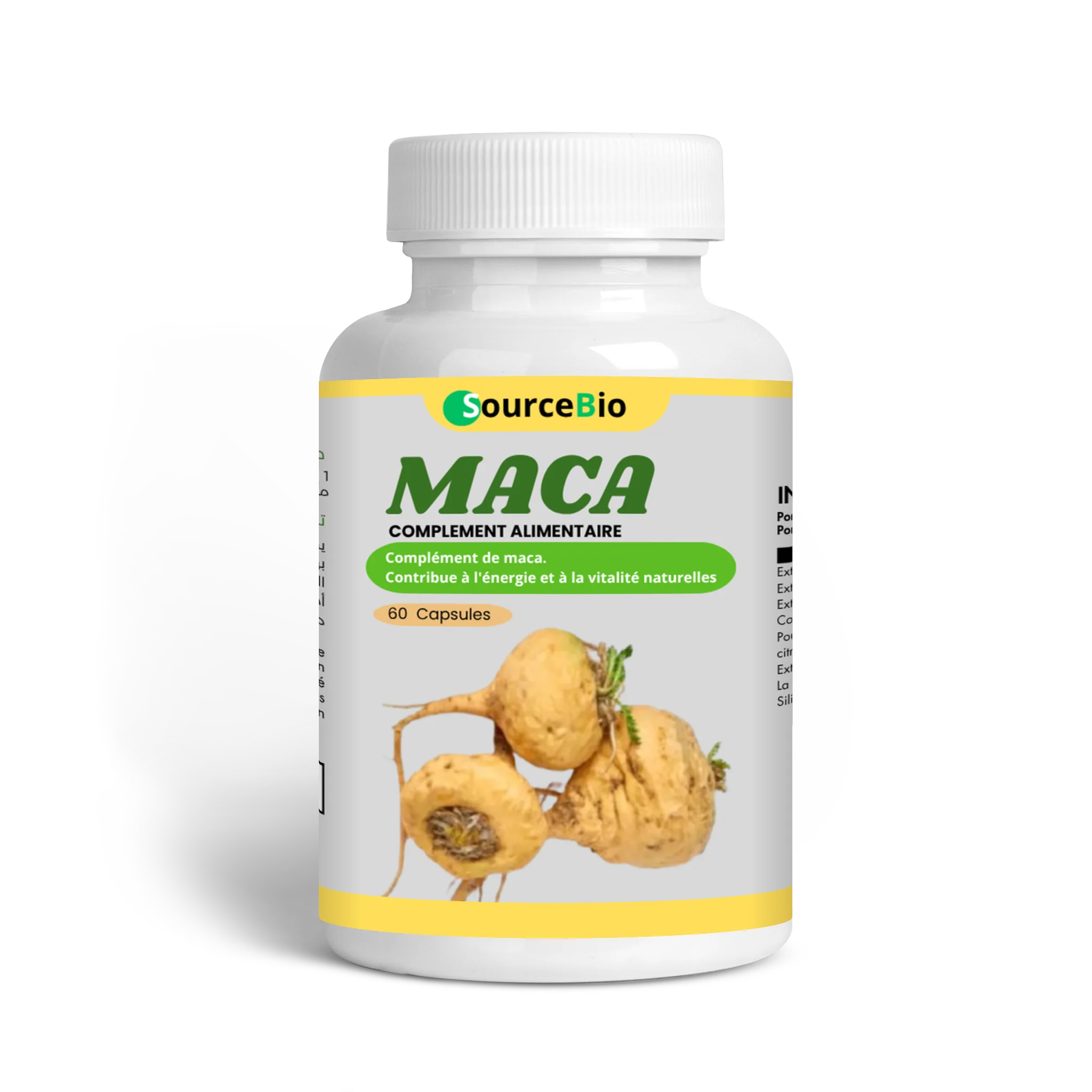 MACA