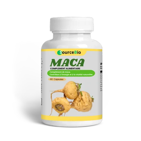 MACA