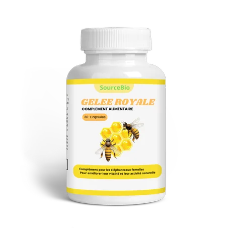 غداء ملكة النحل 30 كبسولة