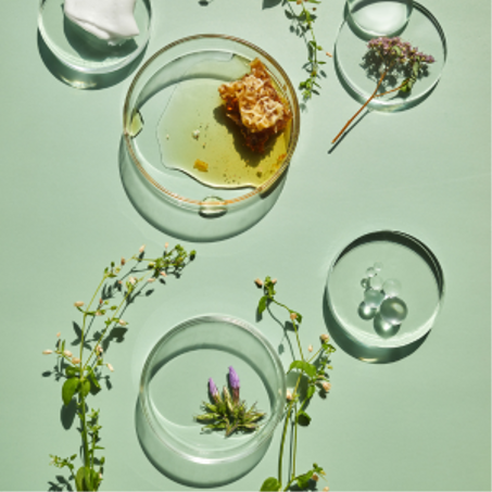 ✨⭐💫الجمال💫⭐✨