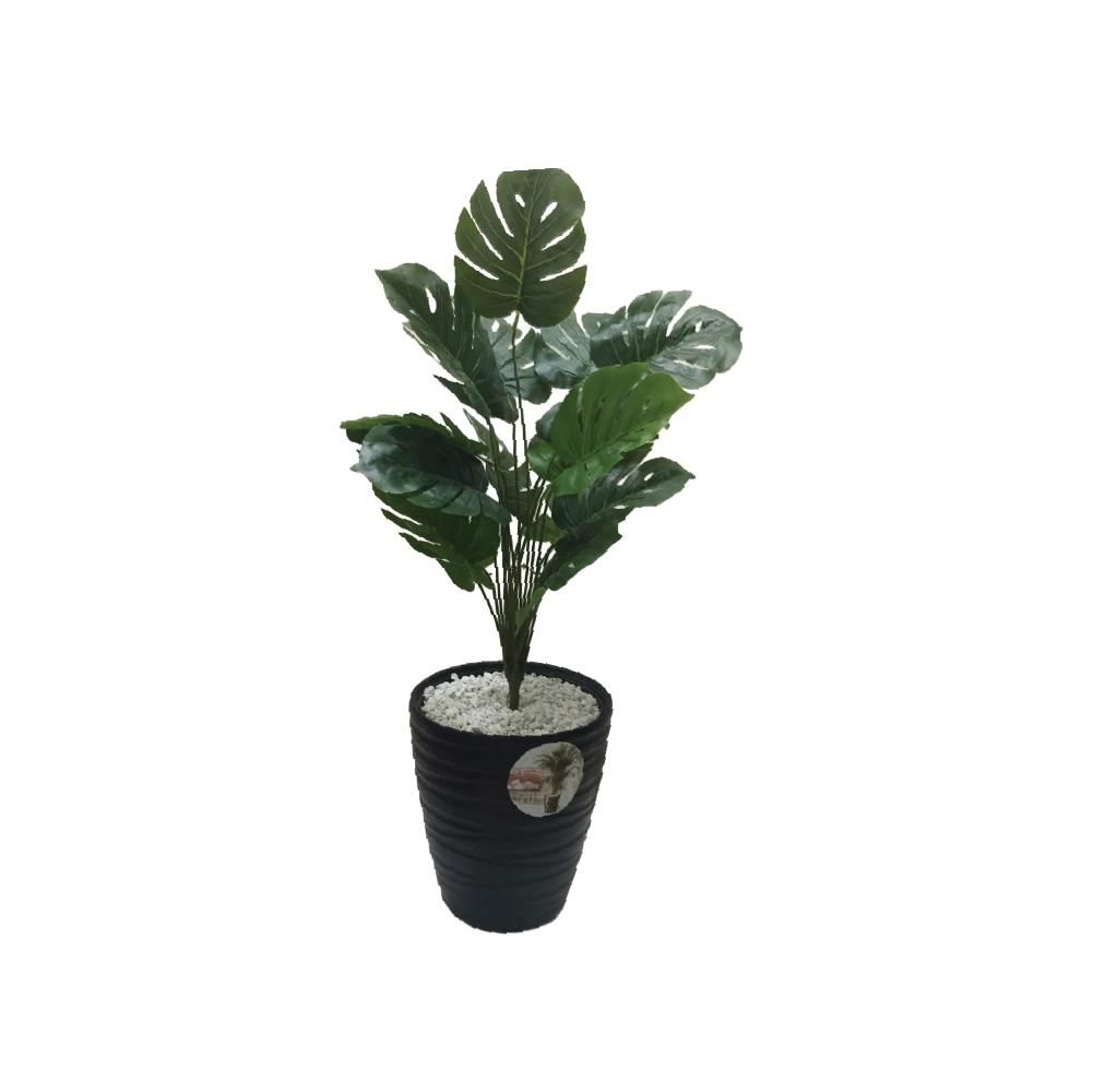 Plante avec Pot Décoratif PP2