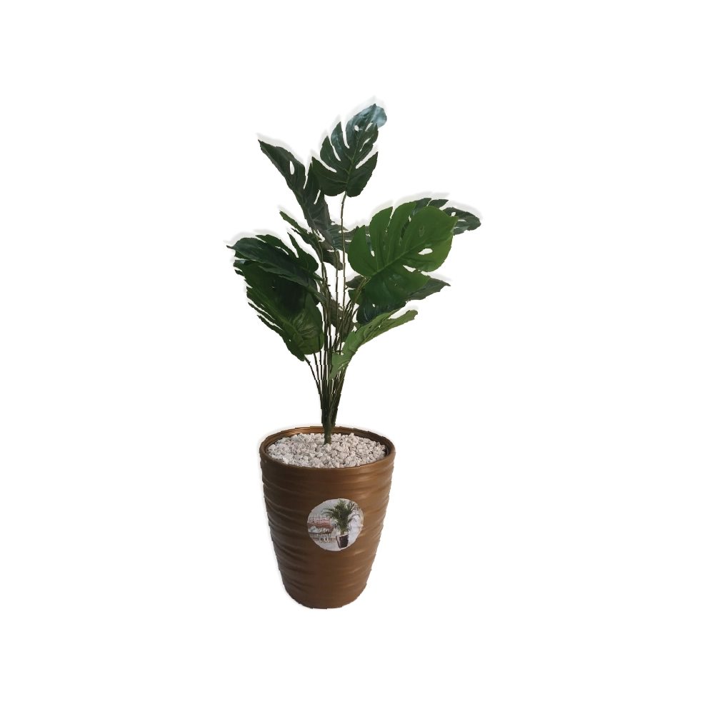 Plante avec Pot Décoratif PP2