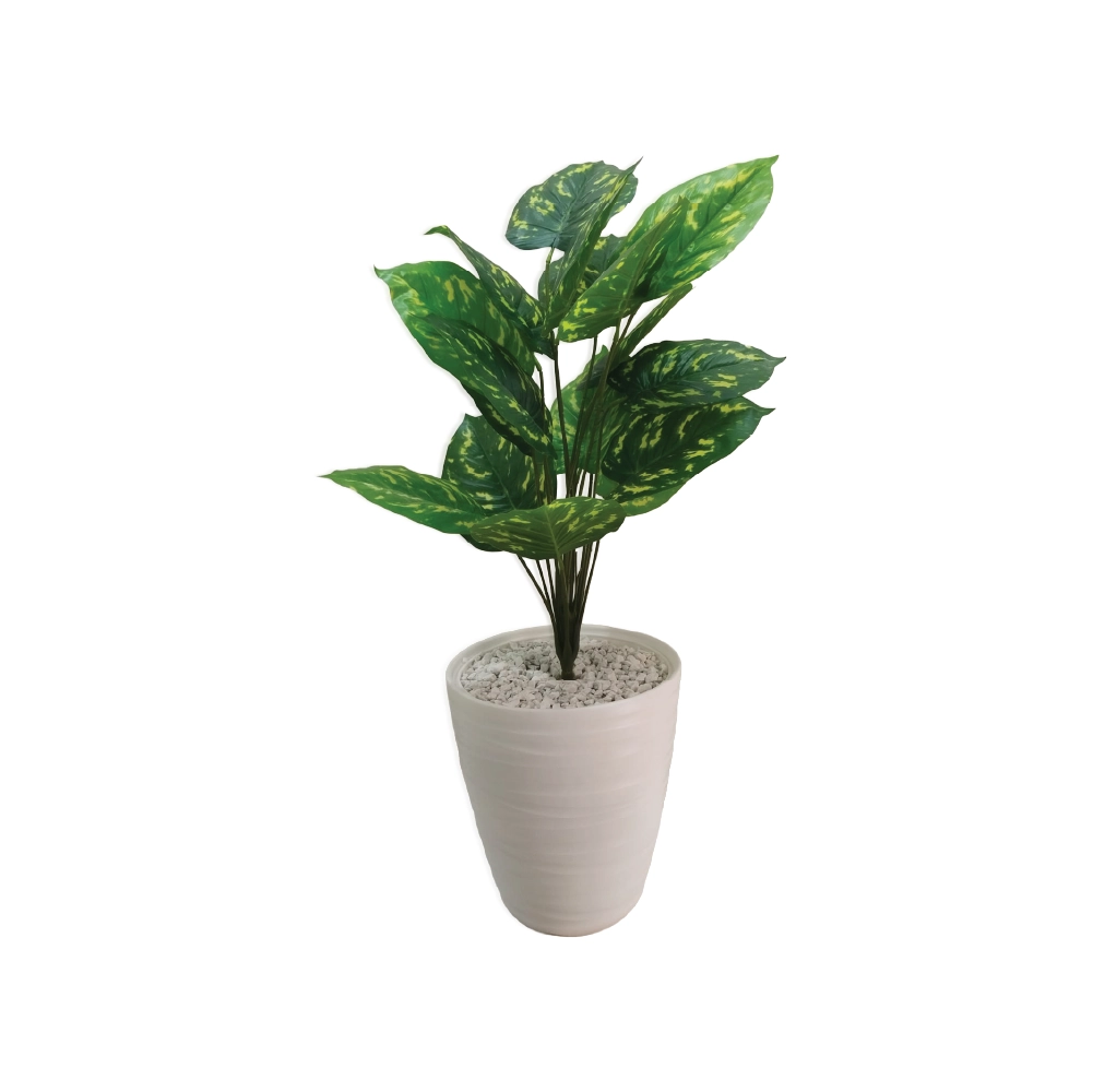 Plante avec Pot Décoratif PP3