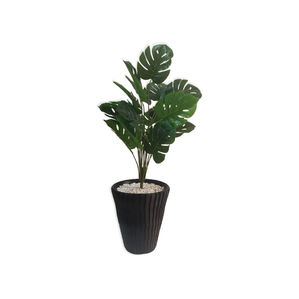 Plante avec Pot Décoratif PP1