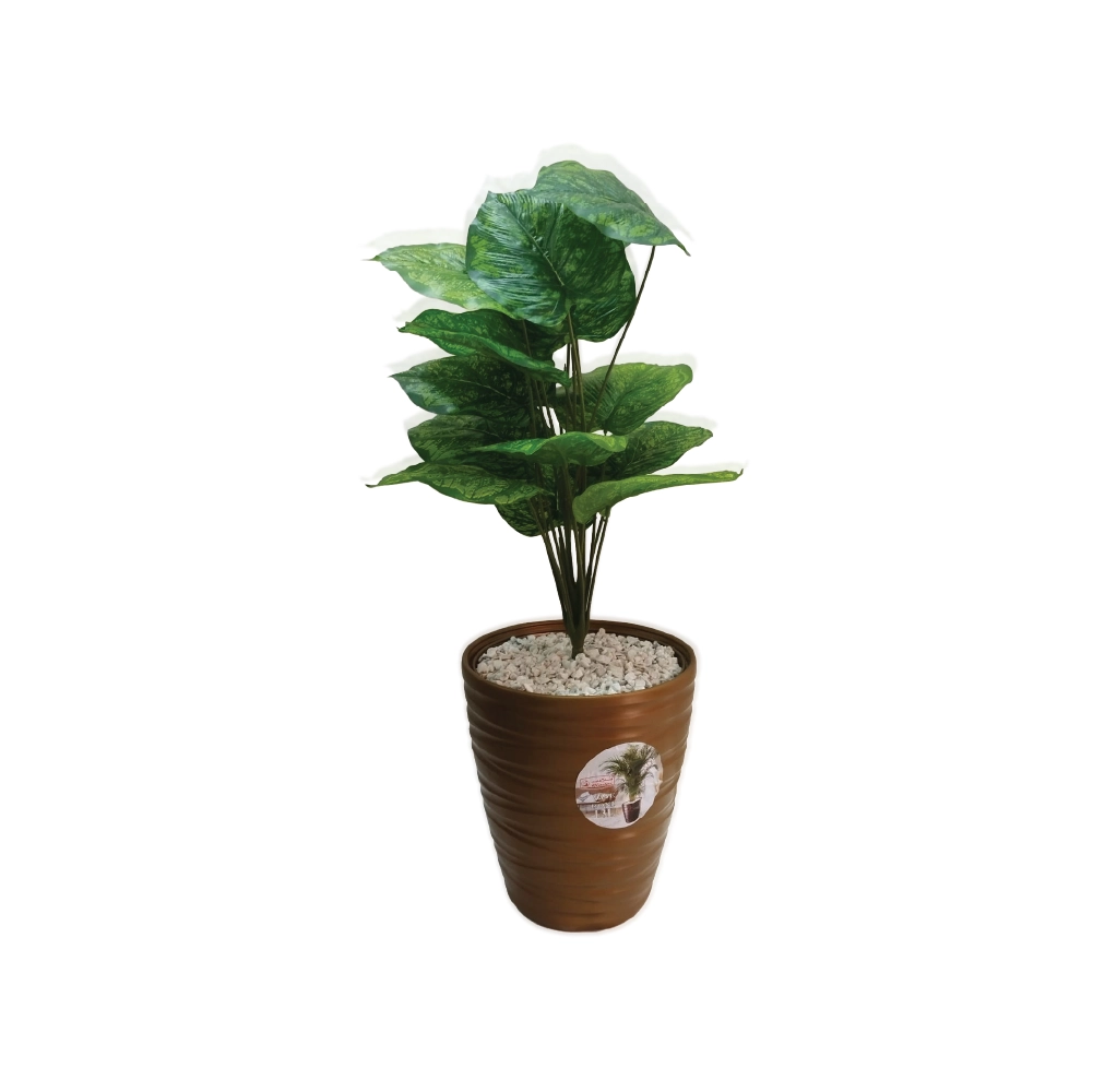 Plante avec Pot Décoratif PP3