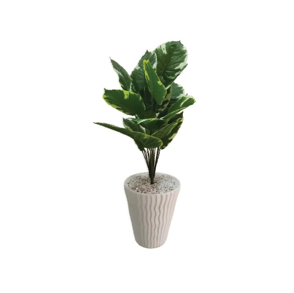 Plante avec Pot Décoratif PP4