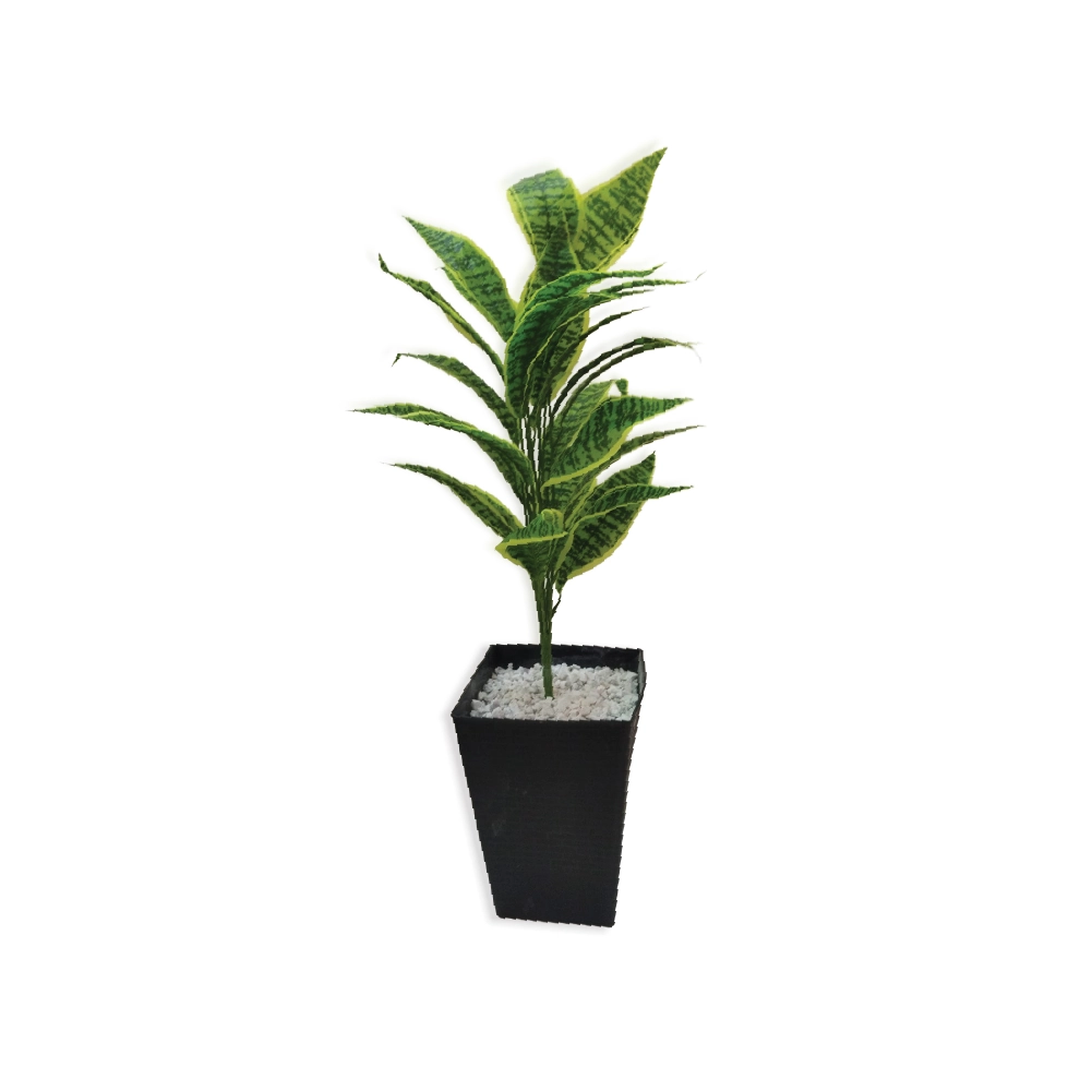 Plante avec Pot Décoratif PP5