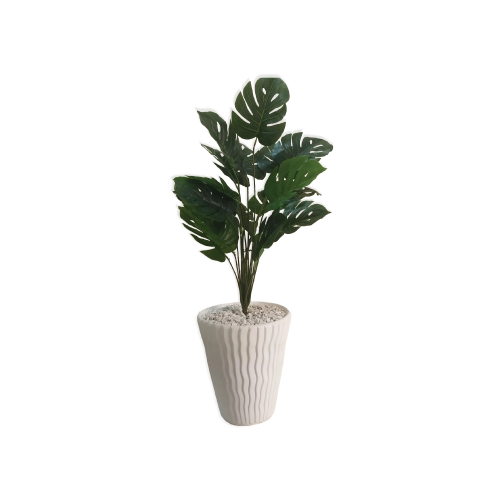 Plante avec Pot Décoratif PP1