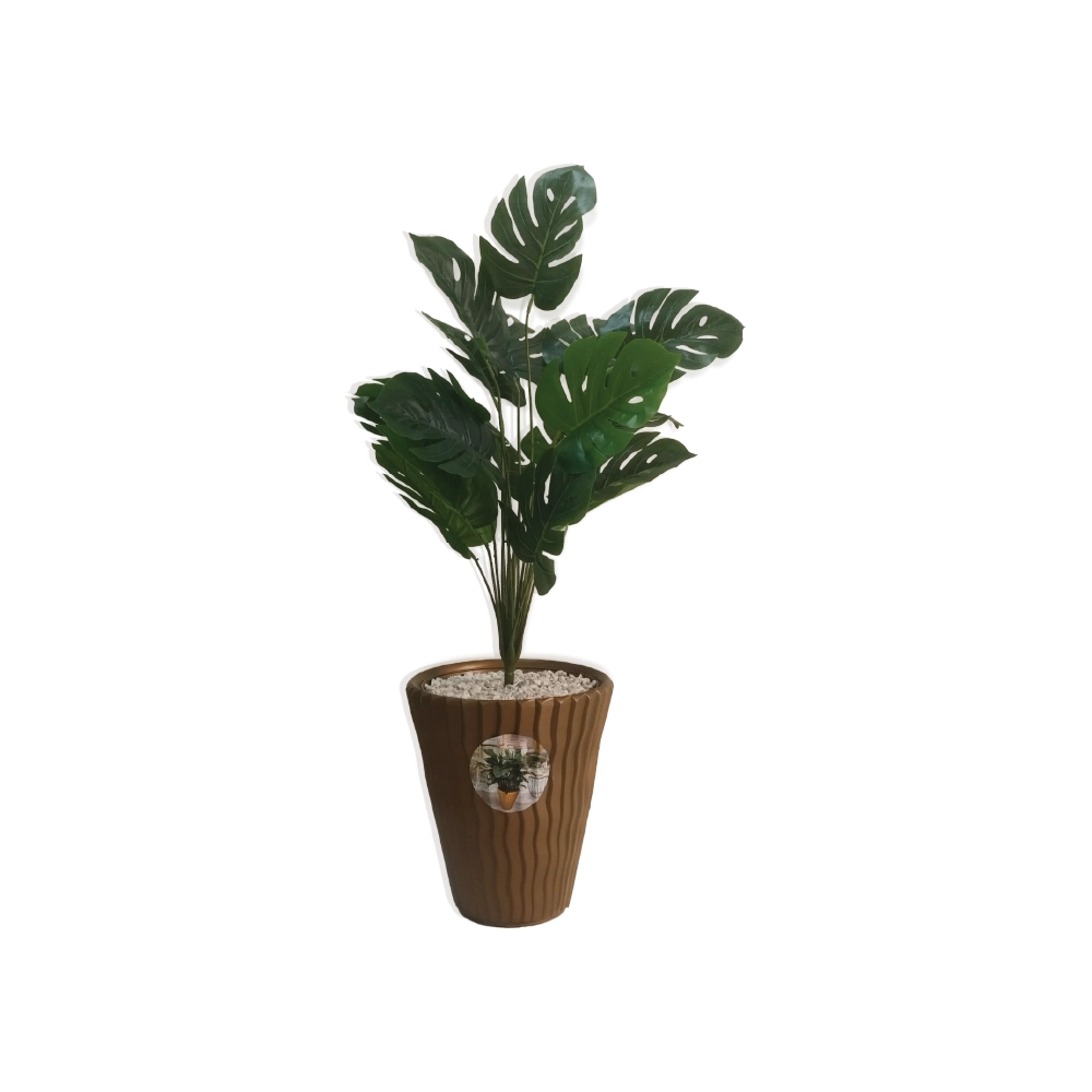 Plante avec Pot Décoratif PP1