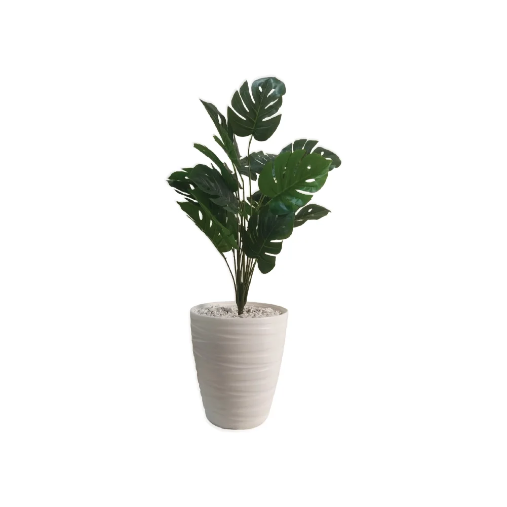 Plante avec Pot Décoratif PP2