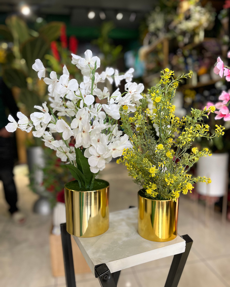 عبير الأناقة