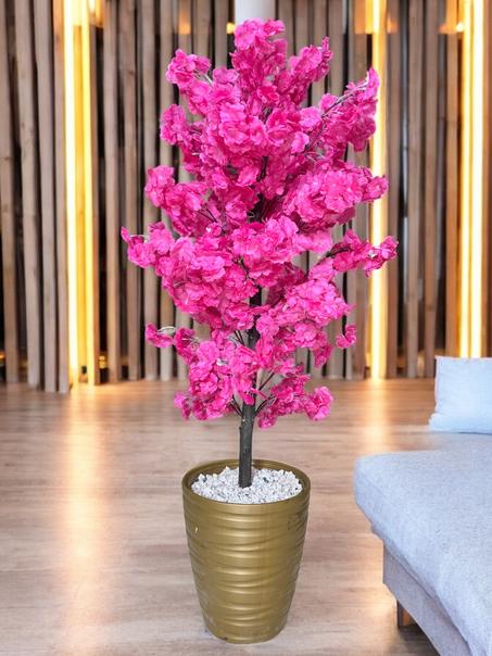 KARAZ plant