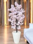stores/6b1f5e995bc0a05b84ccbb54ae1bf545/products/bFsdlwVOhwdlK41Wz7vQr620NnJrfjOpRvIa1pcO.jpg