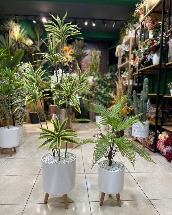 stores/6b1f5e995bc0a05b84ccbb54ae1bf545/products/bJLWaOhVDeonTweUS5qzwBn65uyqdyaD1gmXzMRv.png