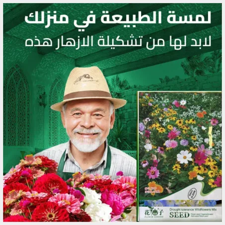 🌱  بذور الغيربيرا 🌿