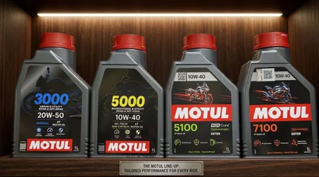 ZUTE MOTUL
