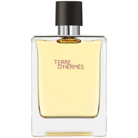 TERRE D'HERMES - Eau de Toilette 100ml